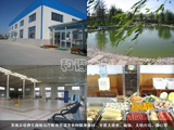 Ц��̫�O�B(y��ng)���@�����d���п��{(di��o)�����N�������ġ�����̫�Oȭ���٤��̫�O��(n��i)�����o�ĵ�